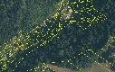 Katastrální mapa