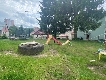 zahrada