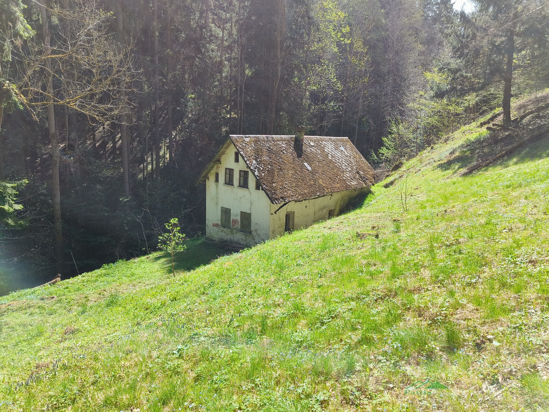  Dům