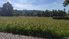 Pozemek